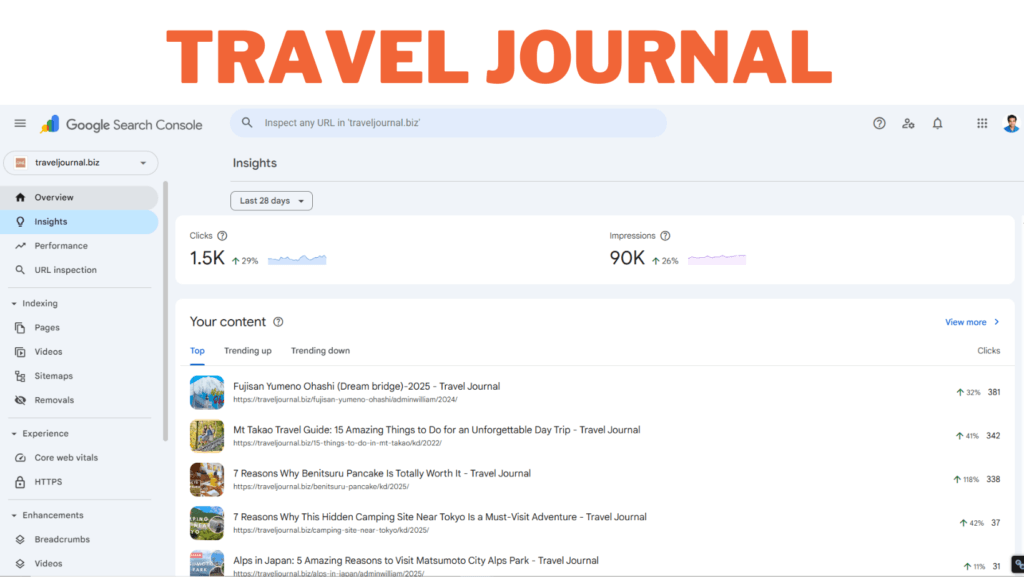 Travel journal Google Search Console Insights
